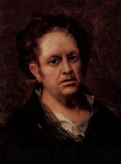 Francisco de Goya Selbstportrat des Kunstlers France oil painting art